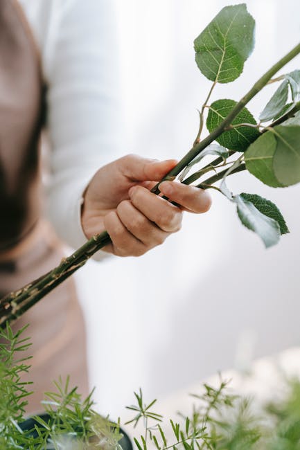 Close-up of a hand holding a long-stemmed green leaf with serrated edges and visible veins, part of a floral arrangement or bouquet, with blurred greenery and flowers in the background. The scene is s