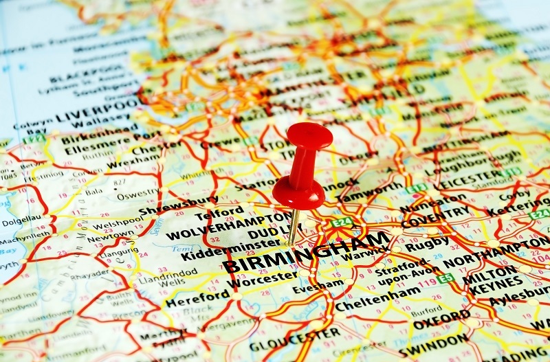 Roses flowers / of flowers