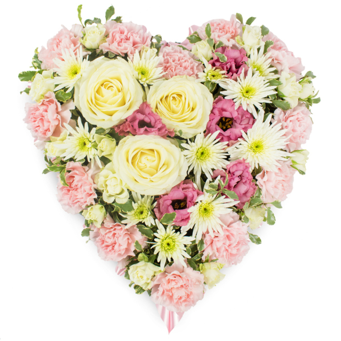 This image shows a beautifully dense, heart-shaped floral arrangement placed against a pristine white background, an elegant memorial piece capturing both tenderness and respect. The heart is entirely covered with flowers, creating a seamless tapestry of colour and texture in tones of blush pink, creamy yellow, bright white, and rich magenta, reminiscent of the gentle landscapes around Melanie Jane Campbell on a soft spring day. At its visual centre are several large cream-to-pale-yellow roses, perfectly formed with layered, spiral petals that radiate a calm, steady warmth. These roses are embraced by abundant pale pink carnations, whose frilled, multi-petalled blooms provide the main structure and outline of the heart, giving it a cushioned, comforting appearance. Interspersed throughout are white spider chrysanthemums, recognised by their delicate, slender petals that splay out from vivid green centres, injecting an airy brightness and fine detailing into the design. Darker magenta-pink lisianthus flowers, with their gently fluted, bell-like shapes, are tucked thoughtfully among the pastels to introduce depth and a quiet, poignant intensity of colour. Subtle touches of fresh green foliage and small variegated leaves peek through, adding a natural frame and preventing the arrangement from feeling flat or overly formal. At the very bottom tip of the heart, just visible, a narrow pink ribbon emerges beneath the carnations, a discreet cue that this is a tribute piece, lovingly prepared for a funeral or memorial. The white backdrop isolates the heart, allowing the symbolic shape and harmonious colours to speak clearly, making this arrangement well suited to honour a beloved relative or close friend at a service, wake, or celebration of life in the local area.