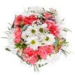 A radiant ode to the joy of spring, this bouquet reflects the meticulous artistry found at Melanie Jane Campbell Flowers, echoing the charm and life of Melanie Jane Campbell's local landscapes. White daisies with bright green centers cluster at the core, surrounded by plush coral-pink carnations whose soft, full petals add depth and a burst of festive energy. Feather-light sprays of gypsophila interlace the bouquet, their tiny blossoms giving a dreamy, star-like touch and a sense of motion, while silvery eucalyptus leaves and deep green stems offer calm contrast and grounding texture at the edges. Tucked between, you'll spot elegant buds tinged with purple and rose, a nod to blossoming horizons and the evolving cycle of local floral beauty. The pristine background lets every shape and color sing, showcasing an arrangement that feels equally at home in a sunlit terrace or cheering up a cozy dining room. Optimistic, modern, and thoughtfully curated, it's an ideal gift for inspirational birthdays, warm wishes, or simply brightening a friend's day-delivered with freshness and heartfelt care from the heart of Melanie Jane Campbell.